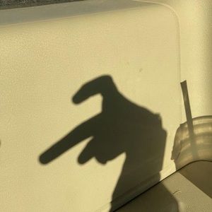 Meet your Posher, Kaylie